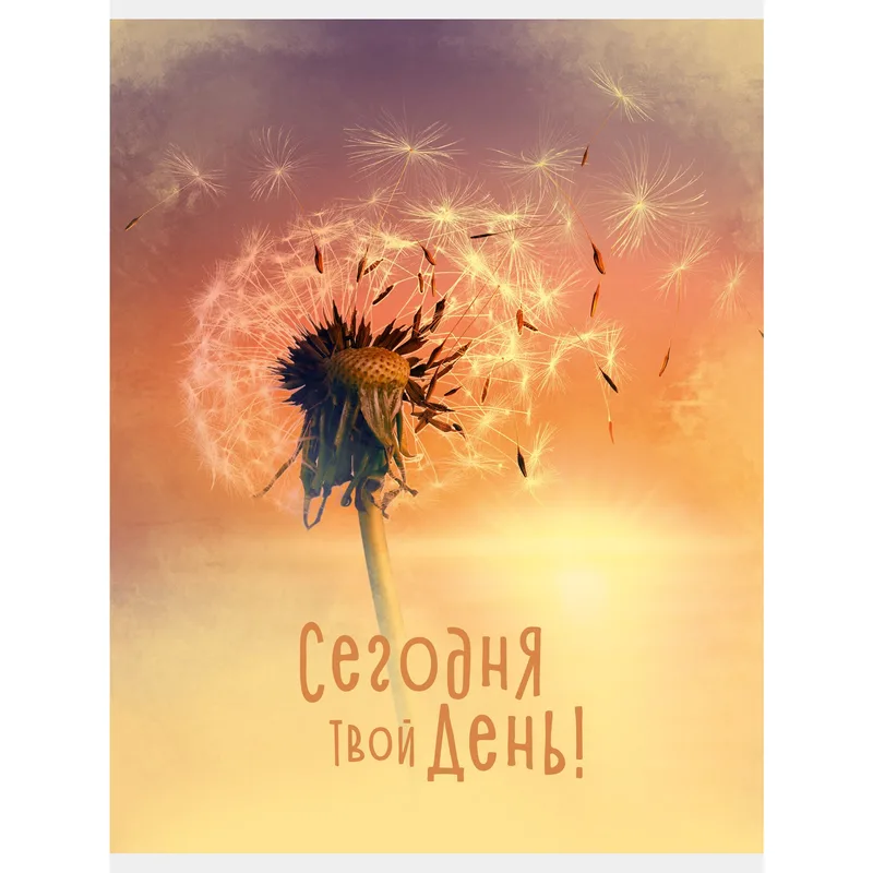Тетрадь А4, 60л. Скрепка. Полноцветный оборот. Бум. оф 60г/м2, клетка.Сегодня твой день ТЛ4605118