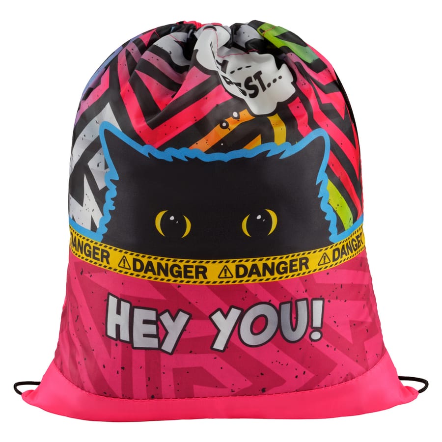 Мешок для обуви 1 отделение ArtSpace "Spy Cat", 340*420мм СДС_50166