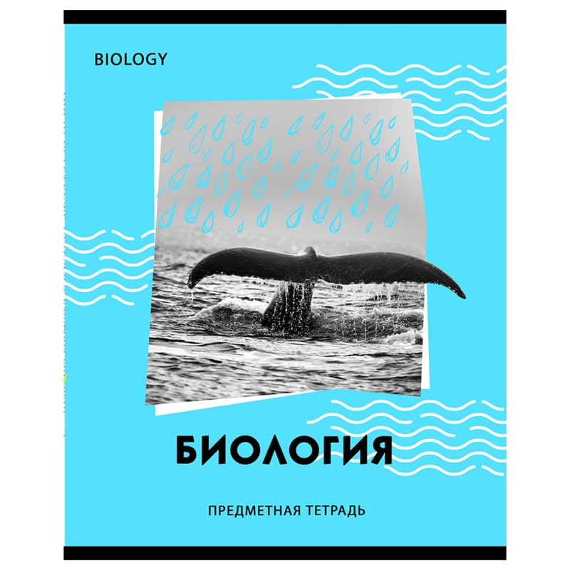 Тетрадь предметная 40л. BG "Neon" - Биология, неоновый пантон, эконом ТП5ск40 11598