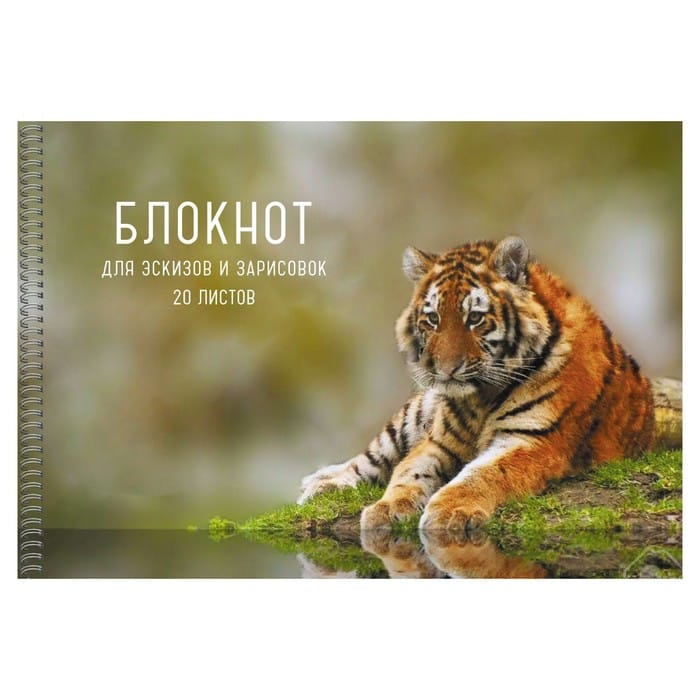 Блокнот для эскизов и зарисовок 20л. Гребень. Обл.: мел. картон. Бум. оф.80г/м2.Тигр БС20182