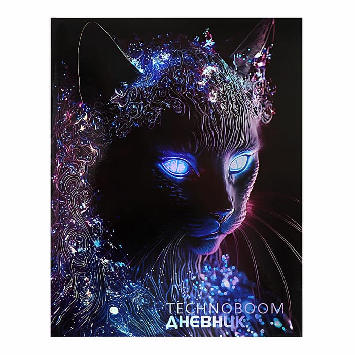 Дневник "TechnoBoom" для средн. и старш. клас, 48л.голограф/пл// серебро,/70 г. ДИТБГ244804