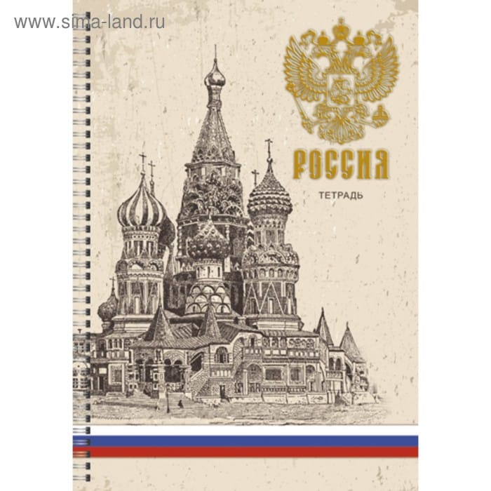 Тетрадь А4 в клетку 96л спираль Россия ТСФ4964159