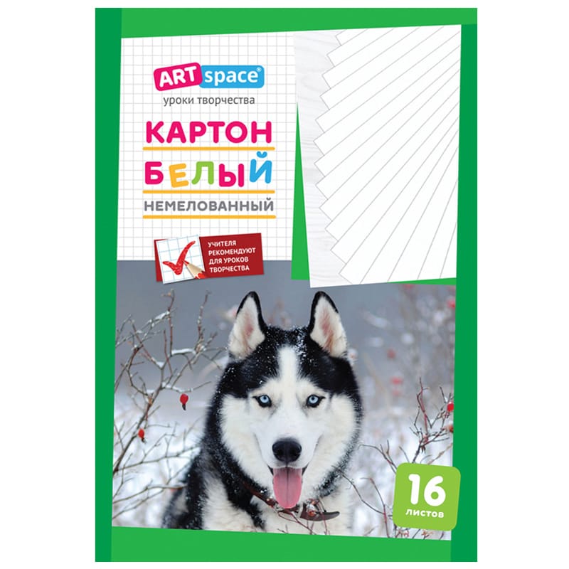 Картон белый А4, ArtSpace, 16л., немелованный, в папке Нкн16б_6962 / 220683