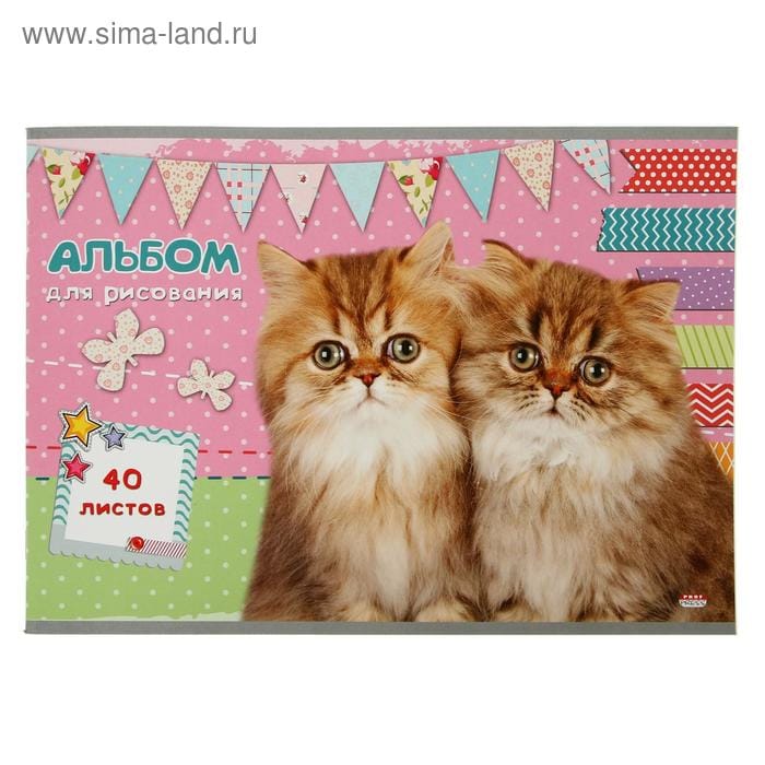 Альбом Пара котят 40л скрепка 40-4544