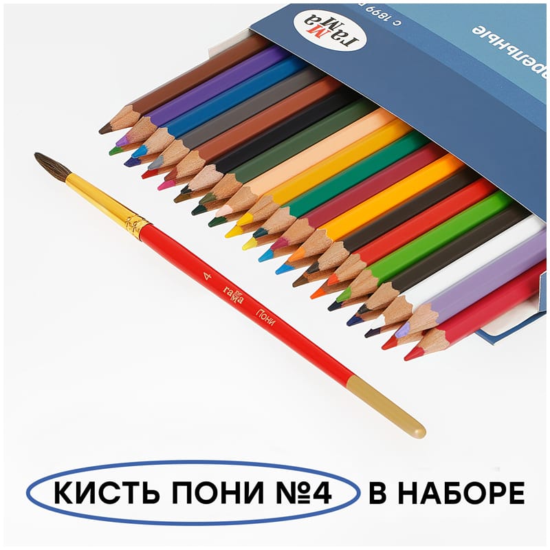 Карандаши акварельные 36цв+кисть Гамма Лицей