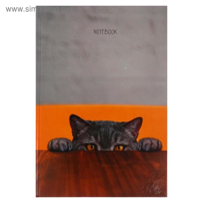 Книга для записей Прятки 80л/145*210 КЗ5803050