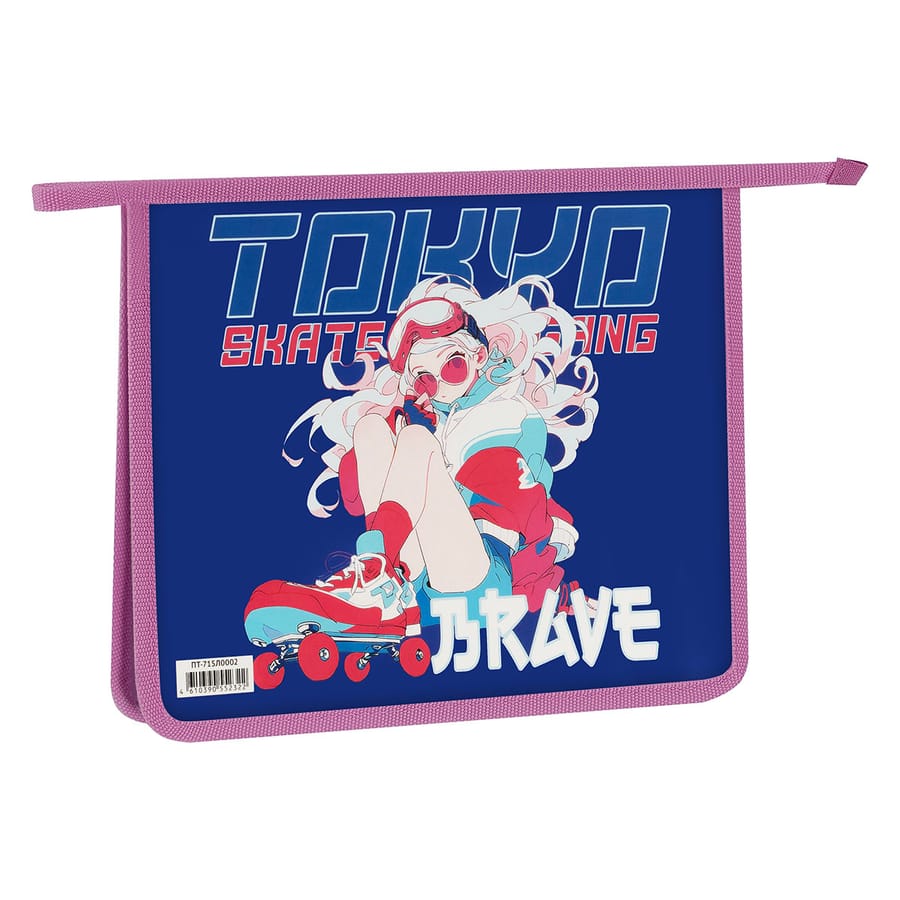 Папка для тетрадей 1 отделение, ArtSpace "Tokyo brave", А5, пластик, на молнии