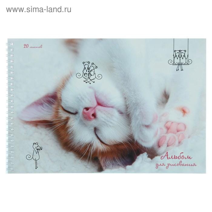Альбом гребень Чудесный котенок 20л/АС202034