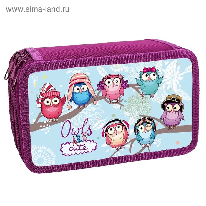 Пенал 3сек 110*190 ПКК12-5 Яркие совы 61286 4867671