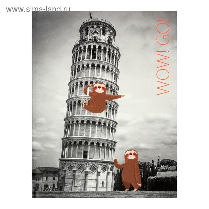 Книга д/з А5 96л WOW!GO! Диз1 ЕТИ596240