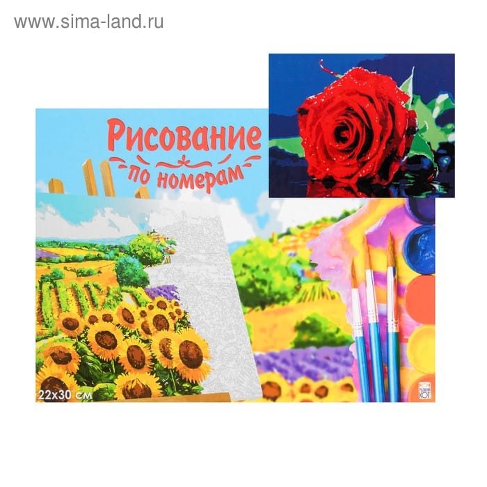 Картина по № "Яркая роза"22*30см HS117