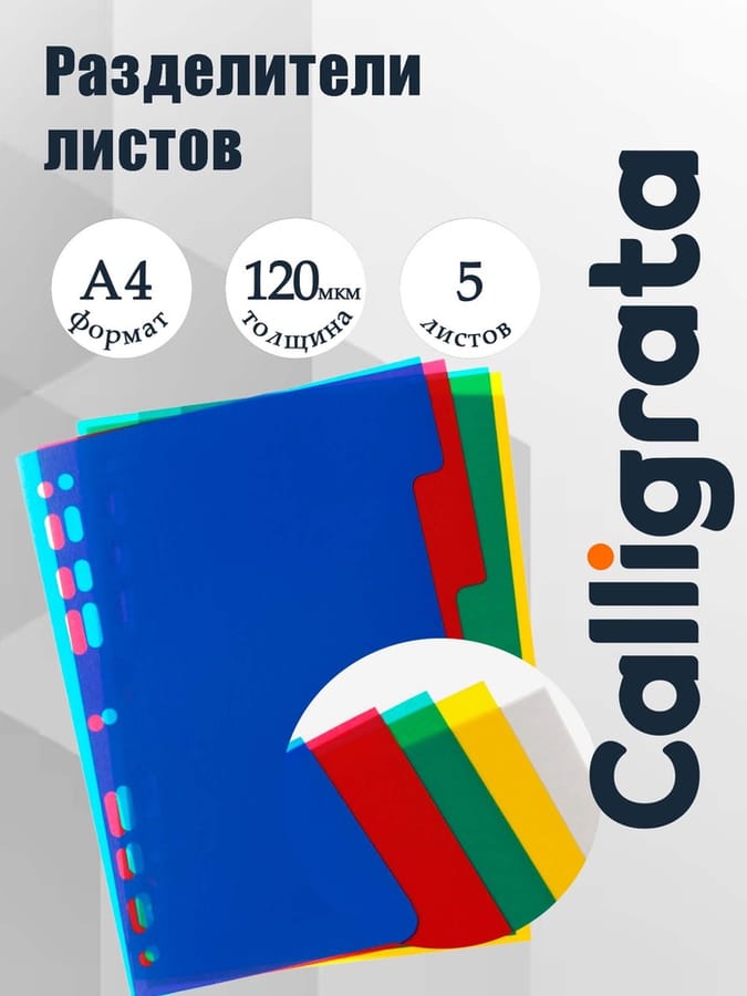 Резделитель лист А4 цв 5л 120мкм Office-2000