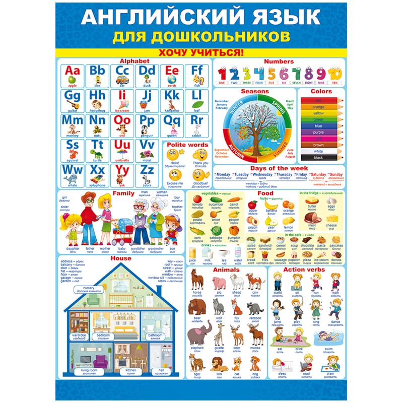 Плакат А2 "Азбука"/"Англ"/"Буквы и звуки" 64754/64723/64712