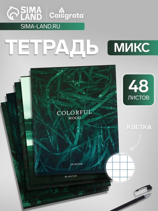 Тетрадь 48л/кл "Изумруд" МИКС 6250508