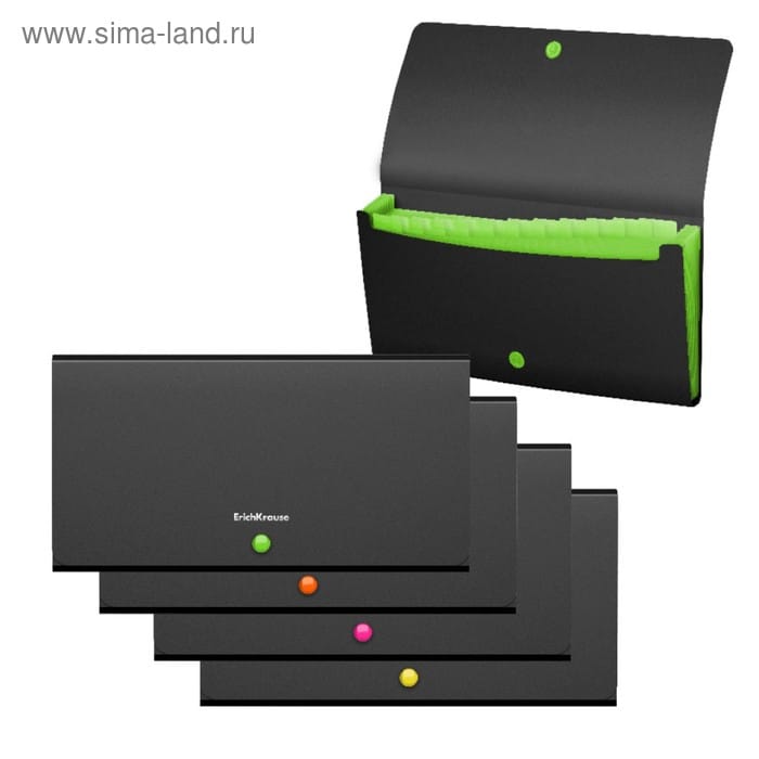 Папка-картотека на кнопке Travel 12 отд ErichKrause Matt Accent Check size, микс 4В 50426 5119096