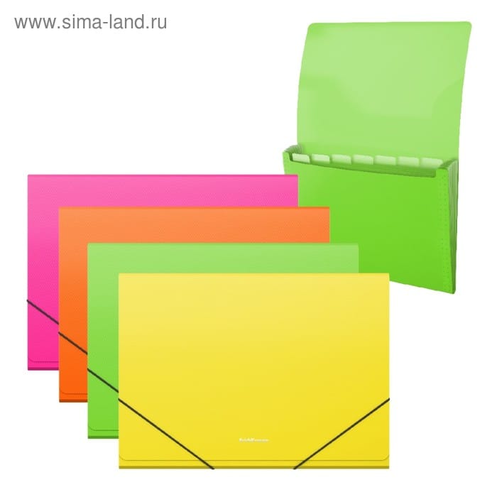 Папка-картотека на резинке А4 6 отд ErichKrause Diagonal Neon  микс 4В 50421 4833608