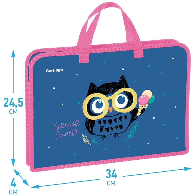Папка с ручками 1 отделение, А4 Berlingo "Funny owl", 340*245*40мм, пластик, на молнии PTA44034