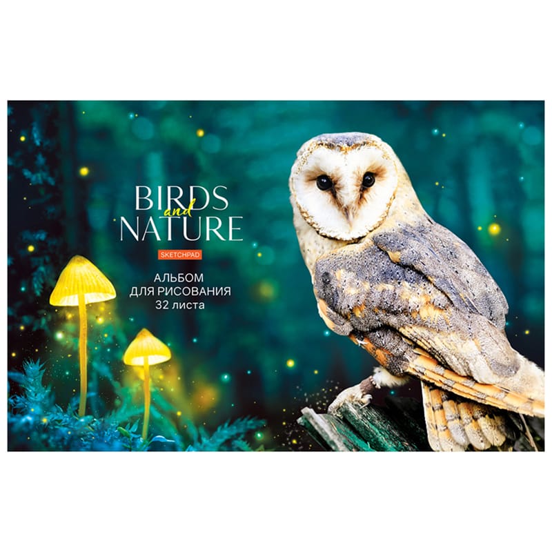 Альбом для рисования 32л., А4, на скрепке ArtSpace "Животные. Birds and nature" А32_36024