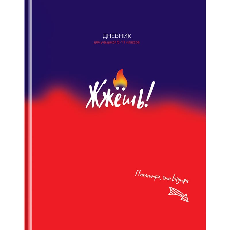 Дневник 5-11 кл. 48л. (твердый) BG "Жжешь!", матовая ламинация Д5т48_лм 11428